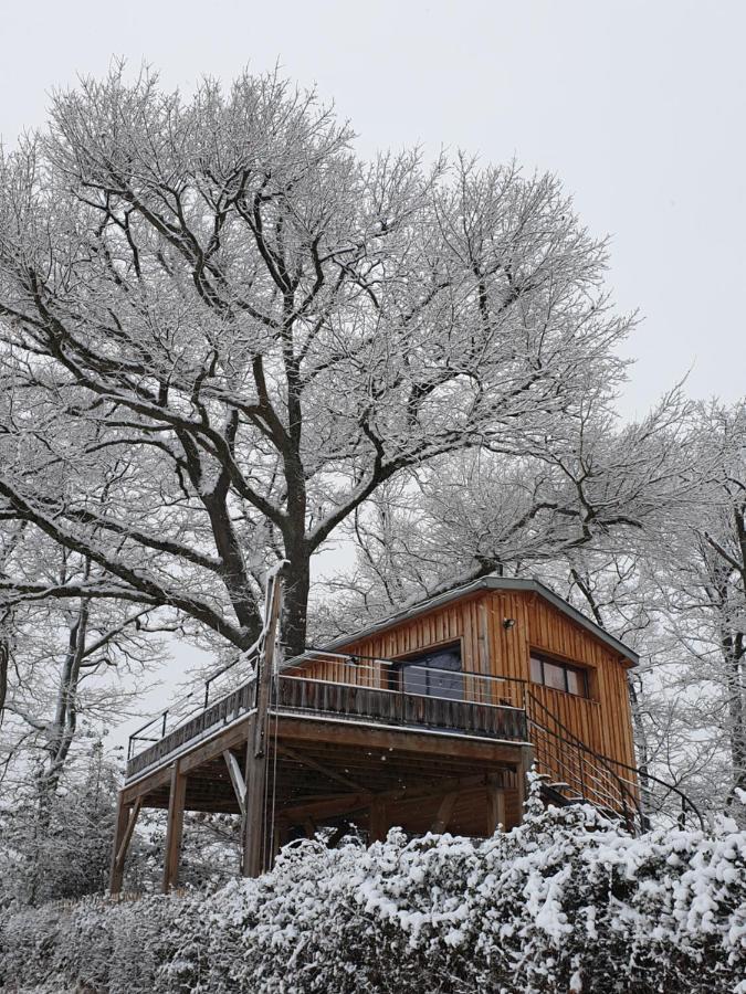La cabane perchée du faucon Frechou-Frechet Exterior foto
